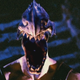 Screenshot: Mortal Kombat: Annihilation